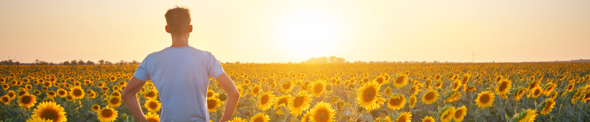 Sunflower Clinical Group